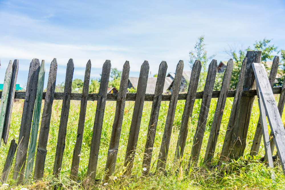 Signs It’s Time to Replace Your Fence