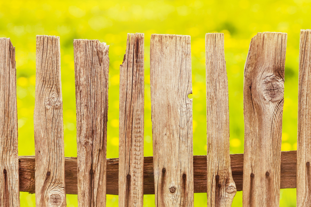 When to Replace Your Fence: A Guide for Homeowners