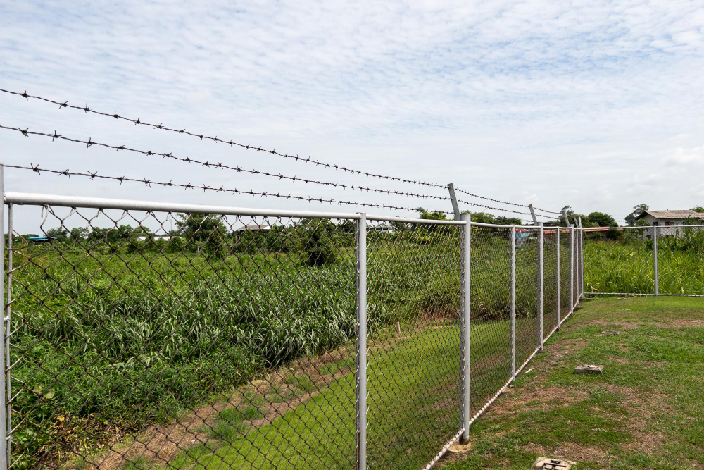 Which Fence is Right for You?