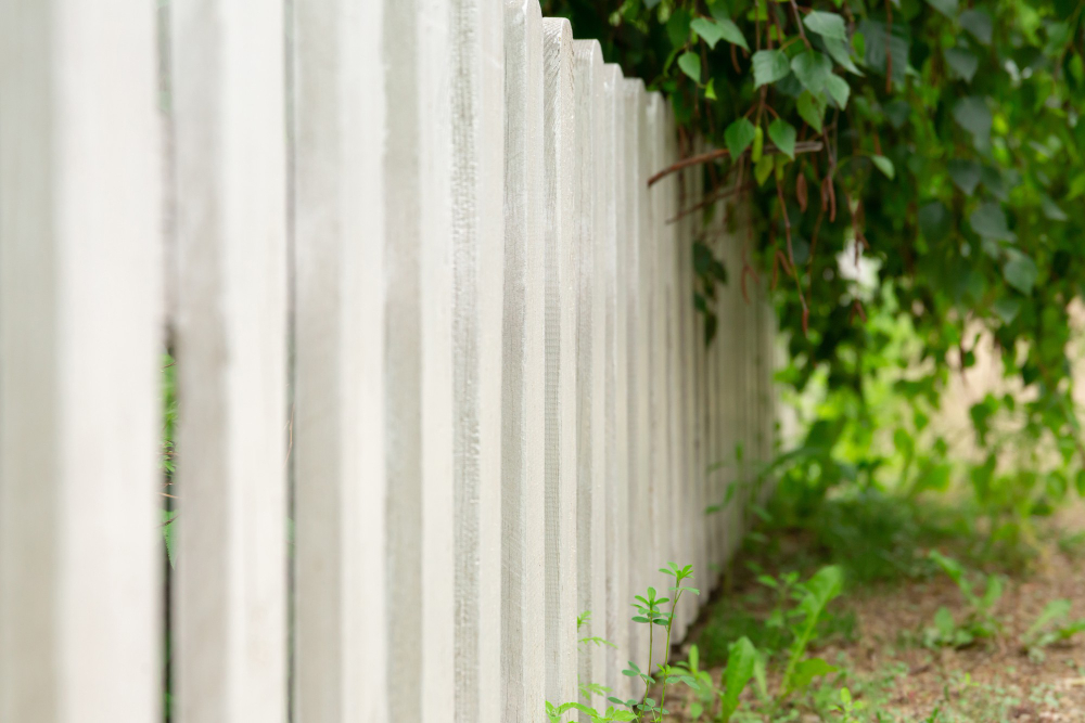 Reasons to Invest in a Backyard Fence