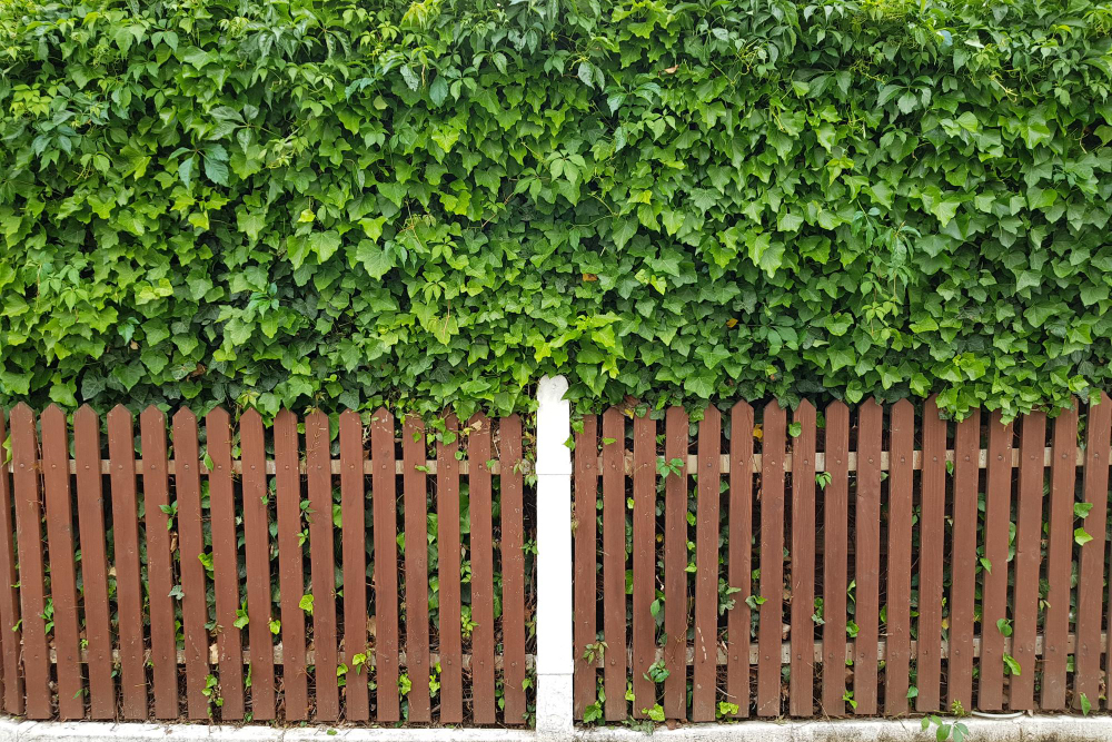 How to Choose the Right Fence for Your Garden