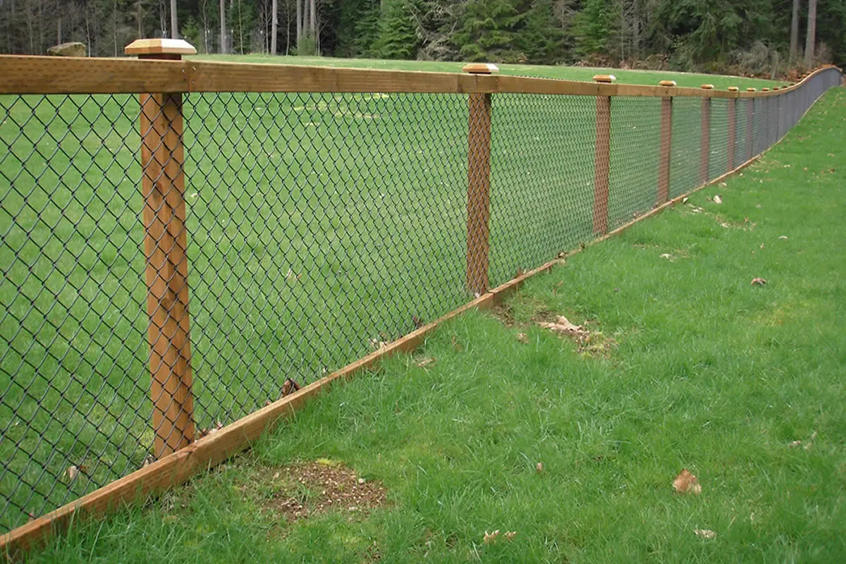 Best Affordable Fencing Options