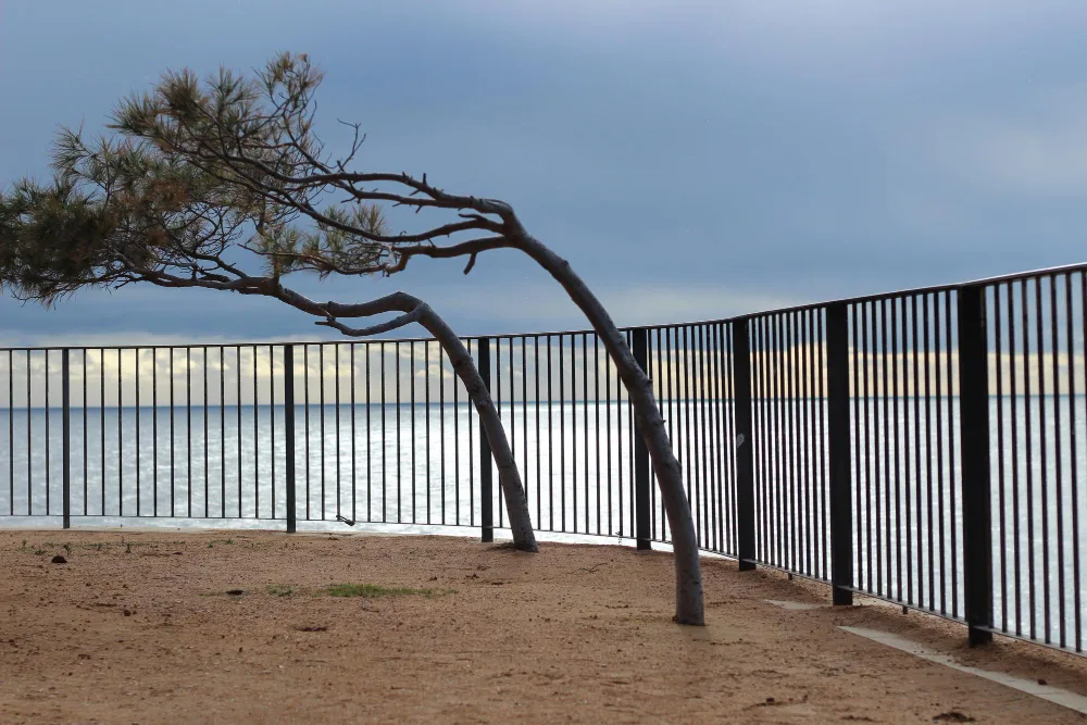 Hurricane-Resistant Fencing in Deltona, FL: What Actually Works