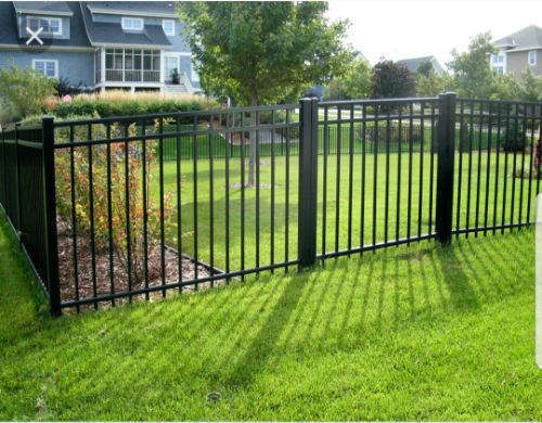 Well kept lawn surrounded by black aluminum fence