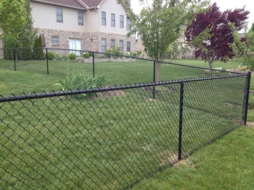 Chain link fence around a yard