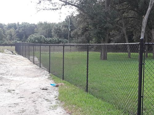 Chain link fence around a property