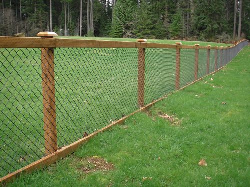 Chain link & wood fence