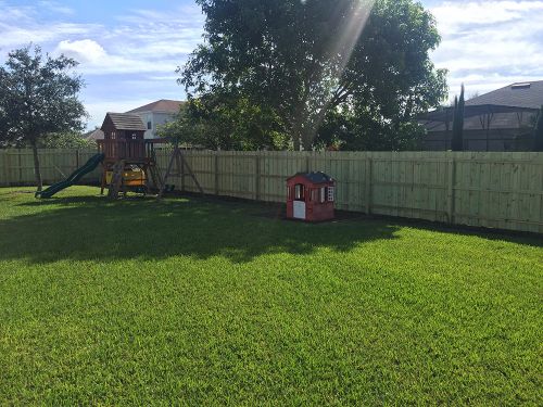 Wood fence surrounding backyard