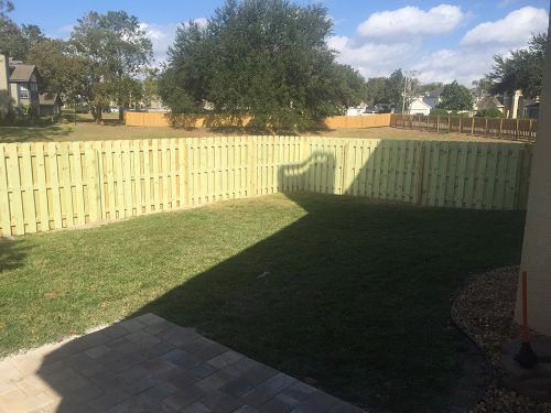 Backyard wood fence