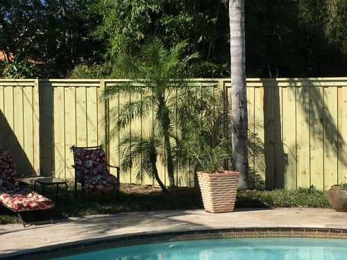 Privacy wood fence around pool