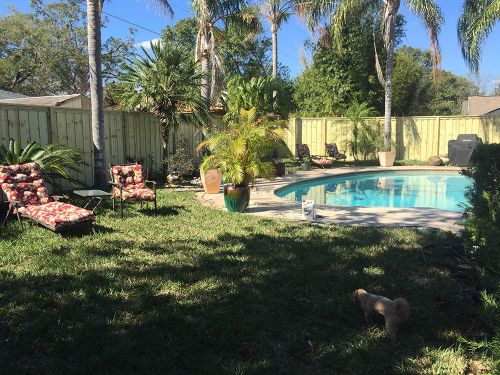 Privacy wood fence around pool